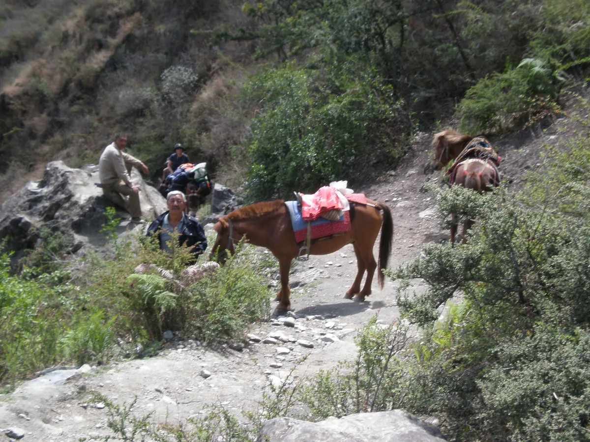 Tiger Leaping Gorge trail — Yunnan Tours