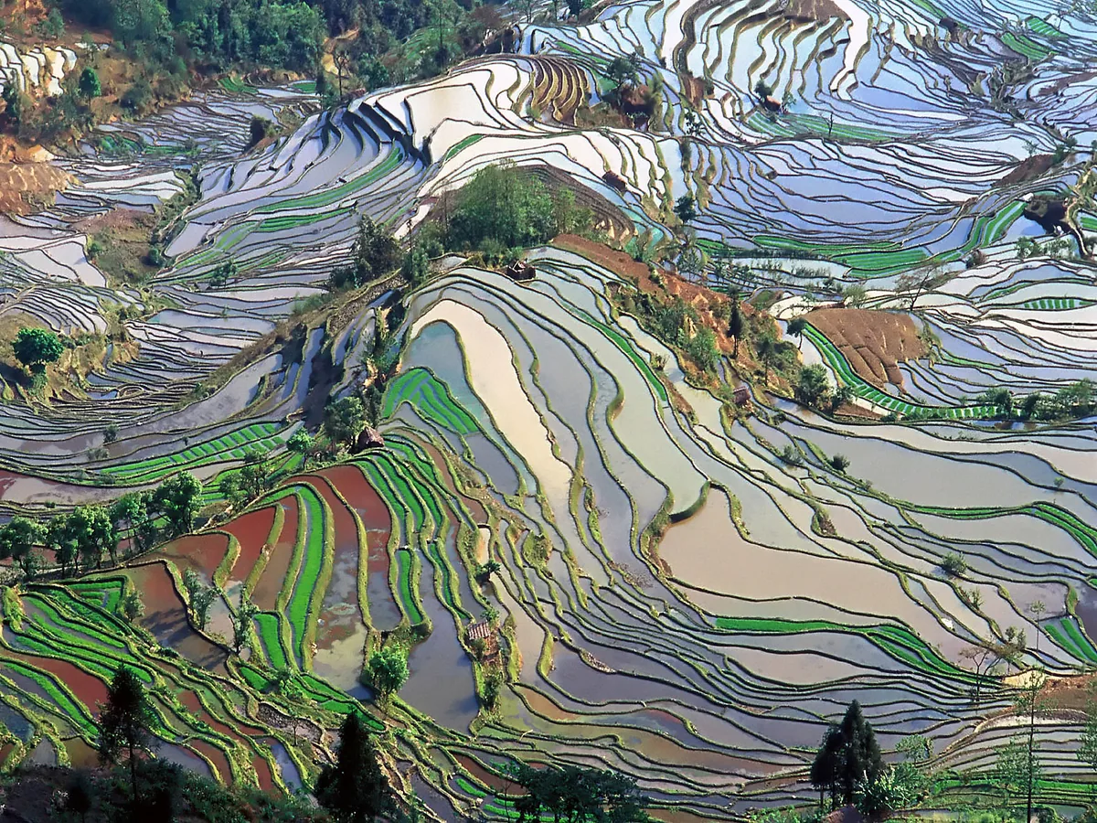 Hani culture near rice terraces — Yunnan Tours