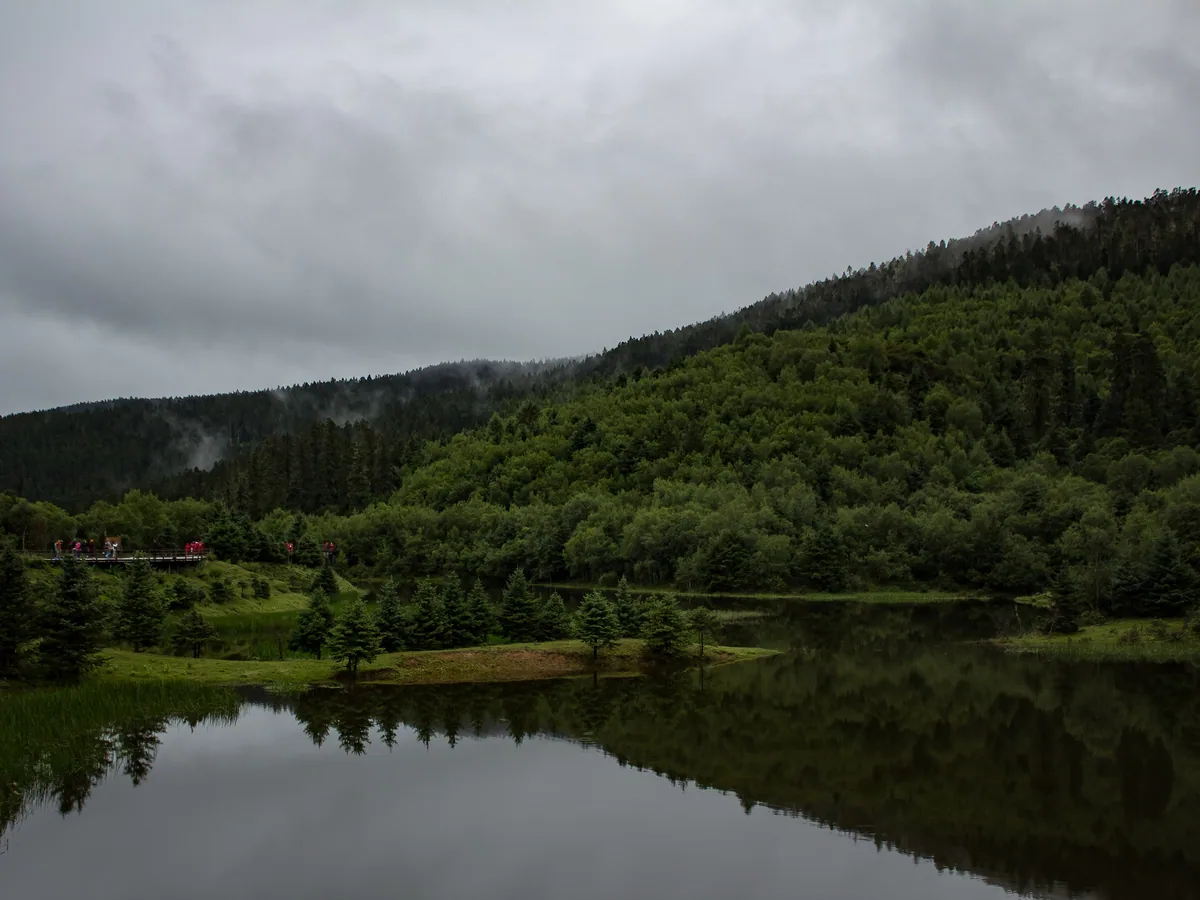 Pudacuo alpine lake and meadow — Yunnan Tours