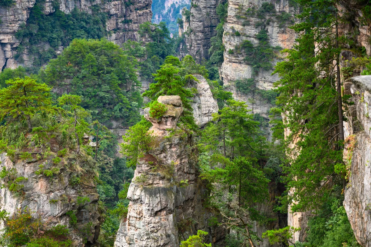 Zhangjiajie sandstone pillars — TopChinaTravel is Listed on TripAdvisor