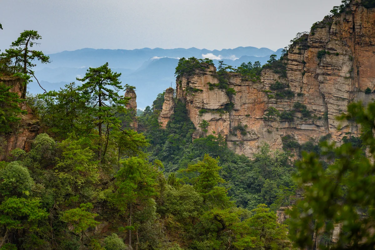 Zhangjiajie sandstone pillars — Travel to China from Australia