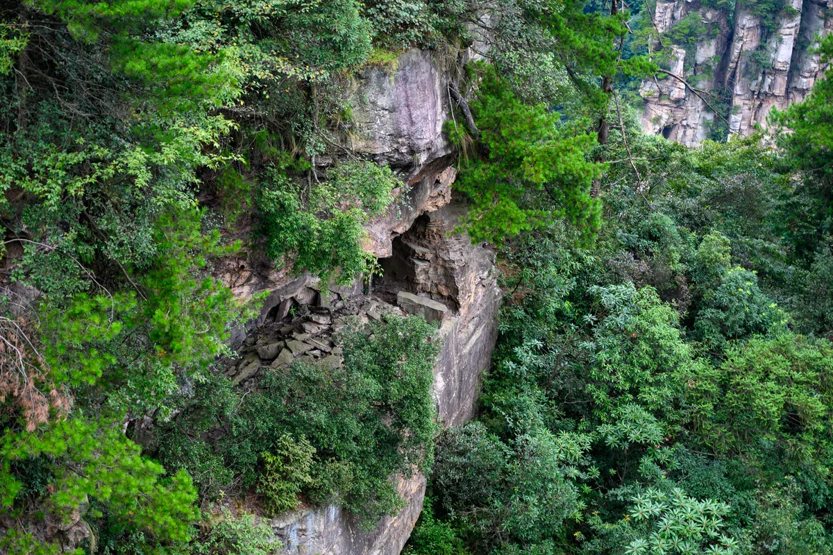 Zhangjiajie sandstone pillars — The Year of Pig