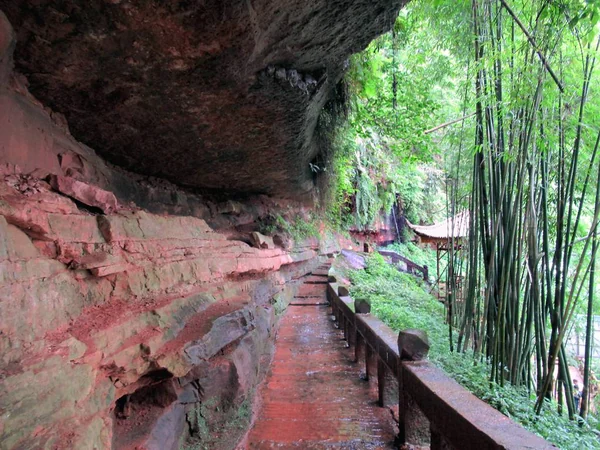 Forested ridge in Sichuan representing connected panda habitat