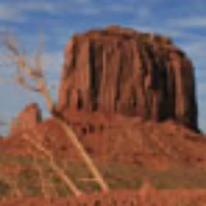 Traveler review profile photo