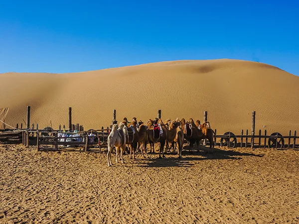 Beijing travel experience