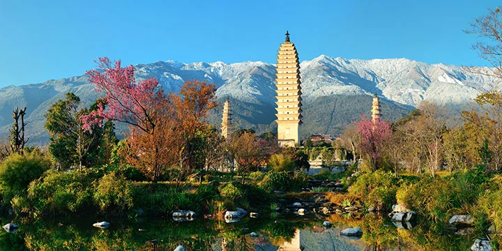 Dali travel experience
