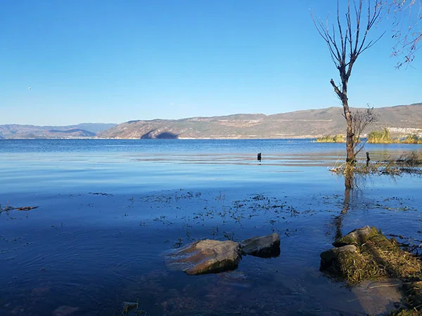 Dali travel experience