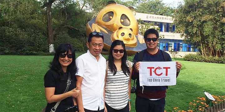 Giant pandas in Chengdu travel experience