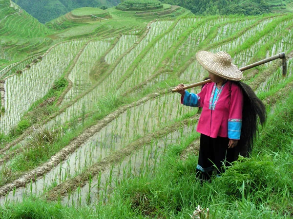 Guilin and the Li River travel experience