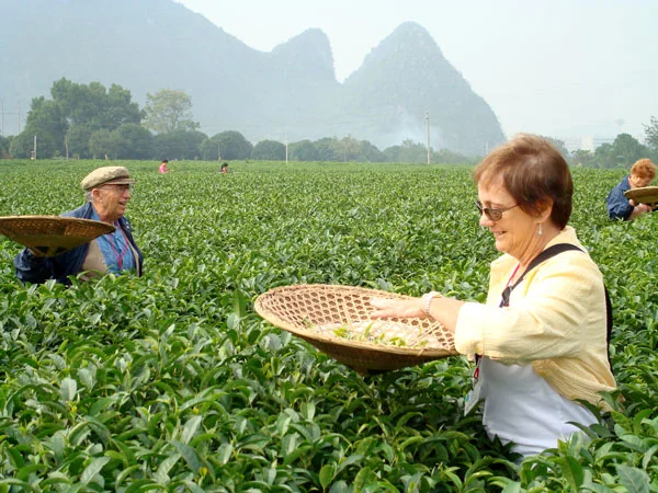 Guilin and the Li River travel experience