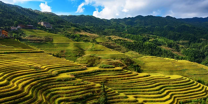 Guilin and the Li River travel experience