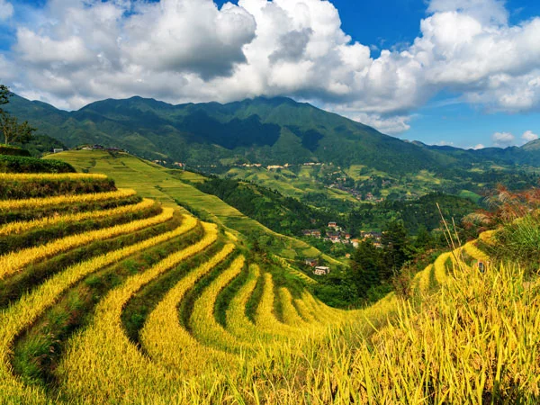Guilin and the Li River travel experience
