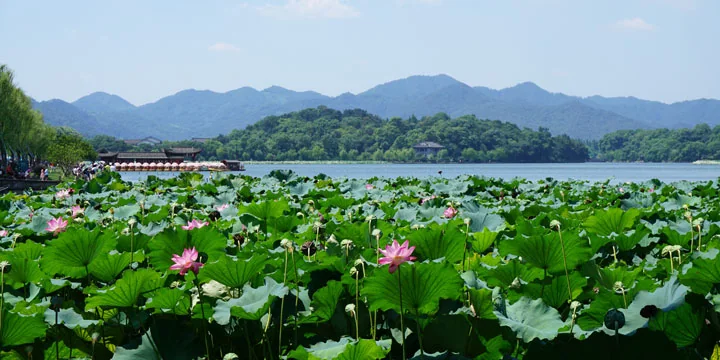 Hangzhou and West Lake travel experience