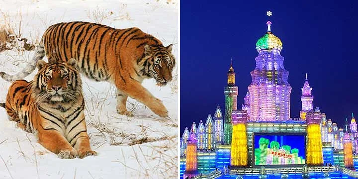 Harbin travel experience