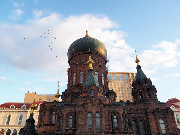 Harbin travel experience