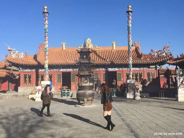 Inner Mongolia grasslands travel experience