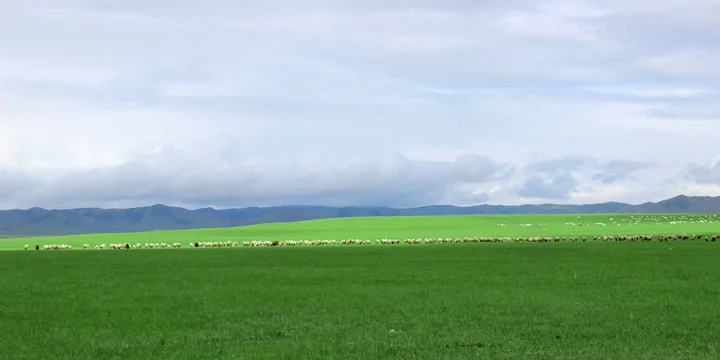 Inner Mongolia grasslands travel experience