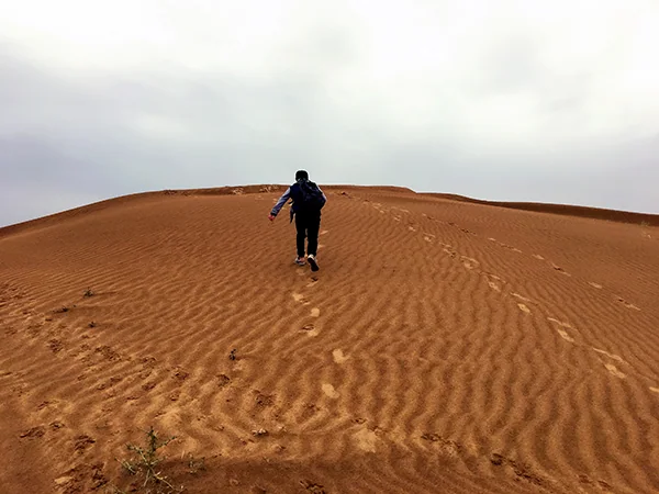 Inner Mongolia grasslands travel experience