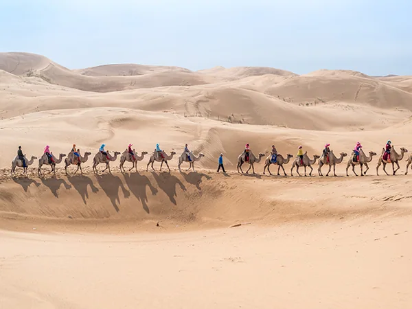 Inner Mongolia grasslands travel experience