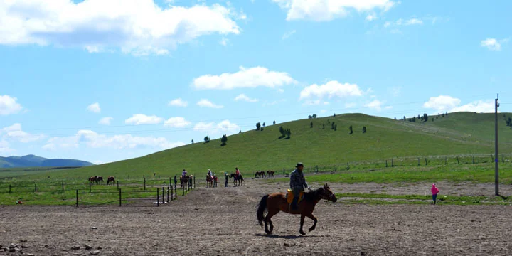 Inner Mongolia grasslands travel experience