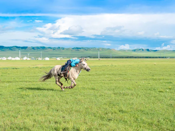 6 Days Amazing Inner Mongolia Tour
