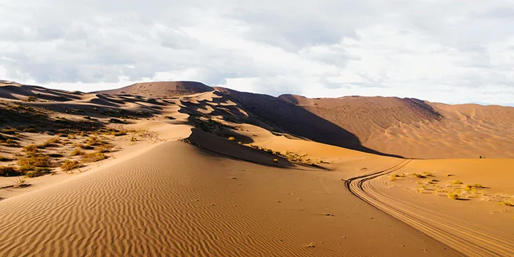 Inner Mongolia grasslands travel experience
