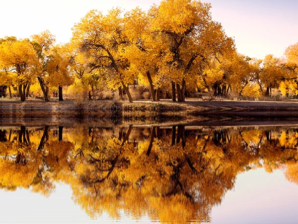 Inner Mongolia grasslands travel experience