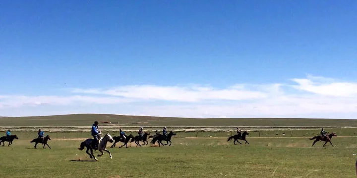 Inner Mongolia grasslands travel experience