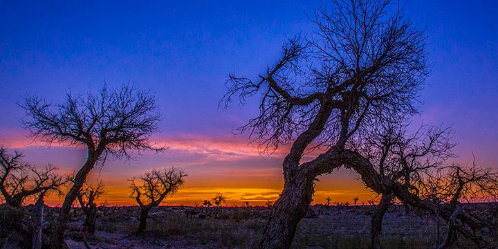 Inner Mongolia grasslands travel experience