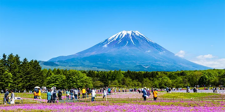 Japan travel experience