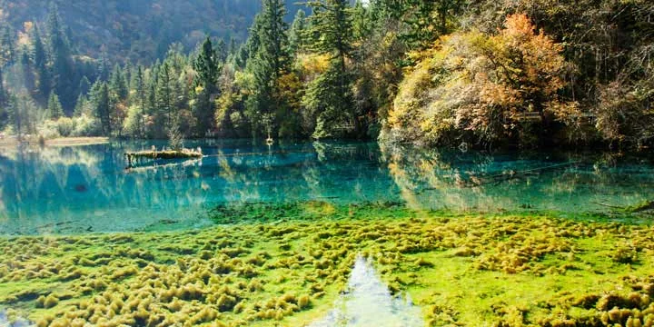 Jiuzhaigou Valley travel experience
