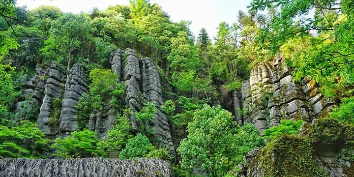 Kunming travel experience