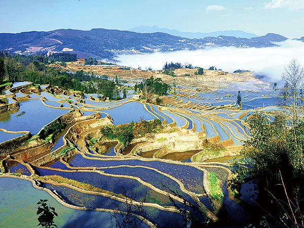 Kunming travel experience