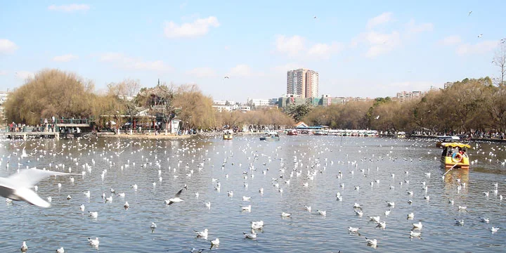 Kunming travel experience
