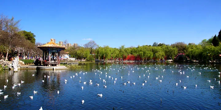 Kunming travel experience