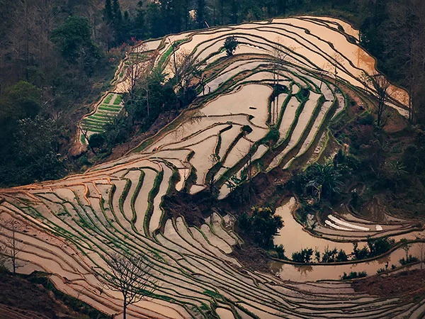 Kunming travel experience