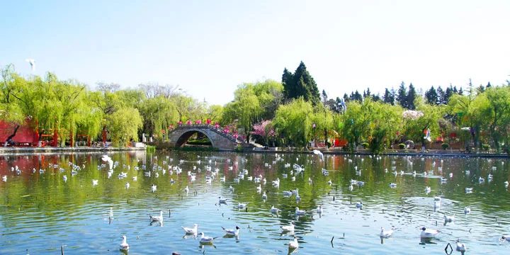 Kunming travel experience