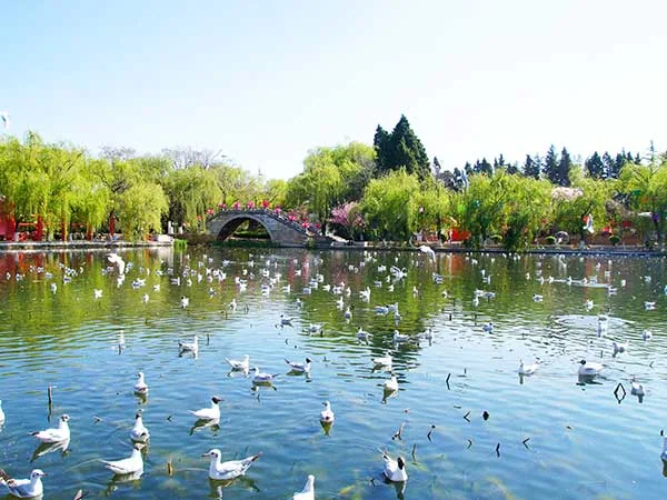 Kunming travel experience