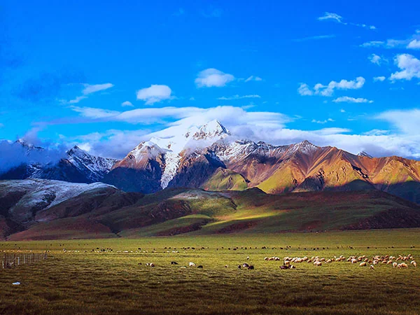 Lhasa travel experience