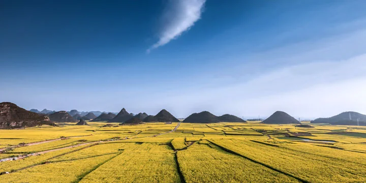 Luoping travel experience