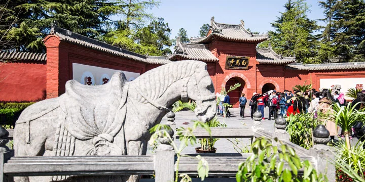 Luoyang travel experience