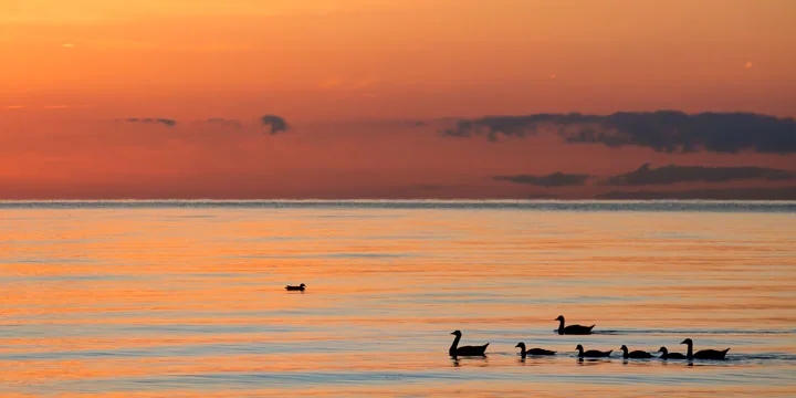 Qinghai Lake travel experience