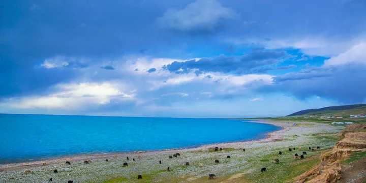 Qinghai Lake travel experience