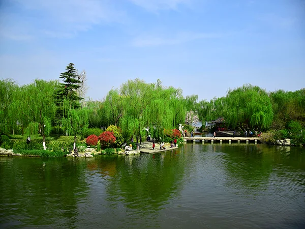 Shandong travel experience