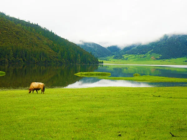 Shangri-La travel experience