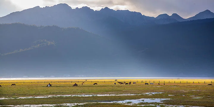 Shangri-La travel experience