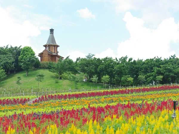 Shenzhen travel experience