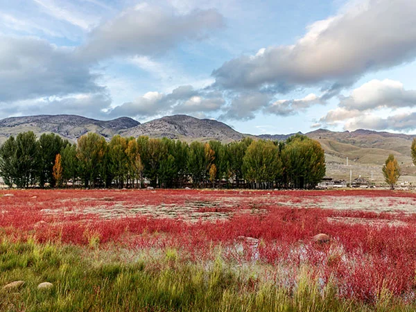 Sichuan travel experience