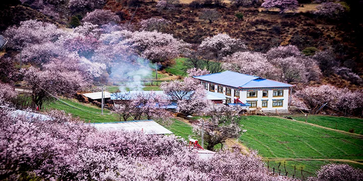 Tibet travel experience