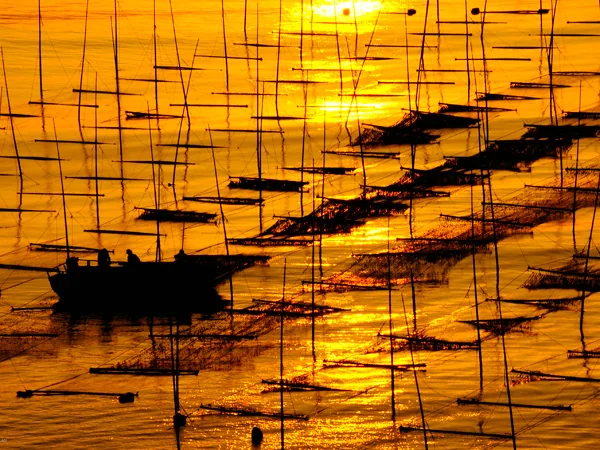 Xiapu travel experience